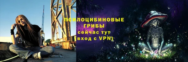 МДПВ Балахна